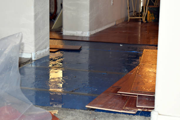 Professional Basement Flood Cleanup technician working in Clayville, RI